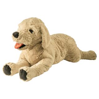 عروسک سگ ایکیا مدل GOSIG GOLDEN فروشگاه دربا