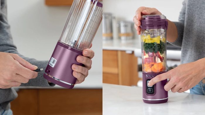 شیکر شارژی نینجا Ninja Blast™ Portable Blender رنگ بنفش فروشگاه دربا